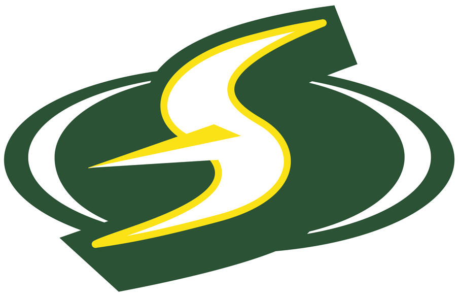 Seattle Storm 2016-Pres Alternate Logo iron on heat transfer